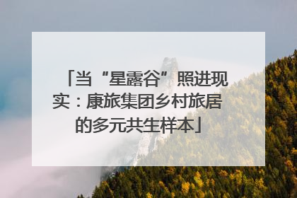 当“星露谷”照进现实：康旅集团乡村旅居的多元共生样本